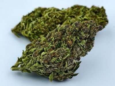 G13 Outdoor p/g