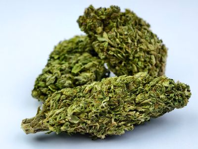 Lemon Skunk Outdoor p/g
