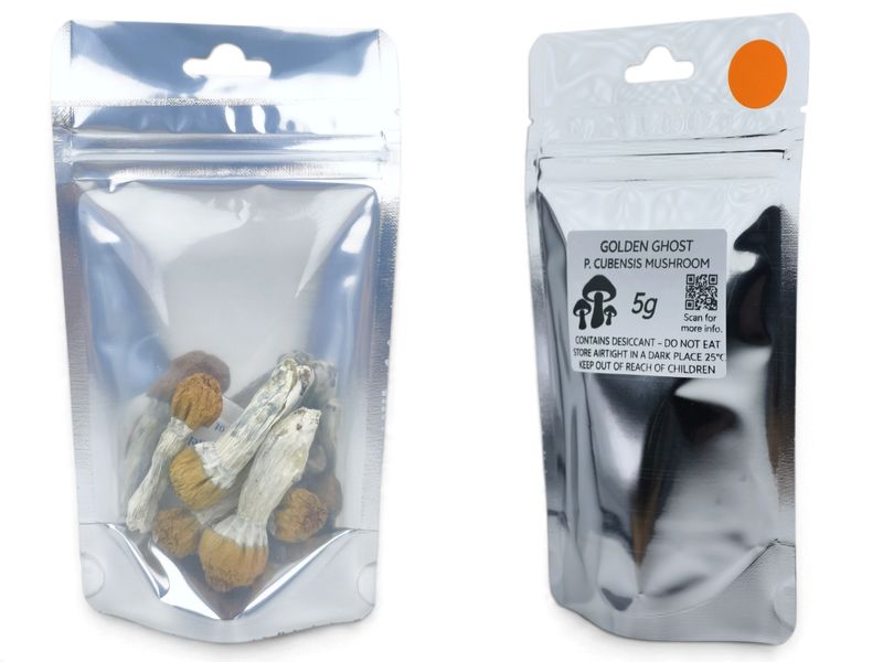 Golden Ghost P. cubensis Mushroom - 5g Pack