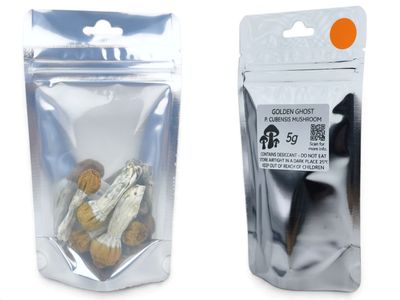 Golden Ghost P. cubensis Mushroom - 5g Pack