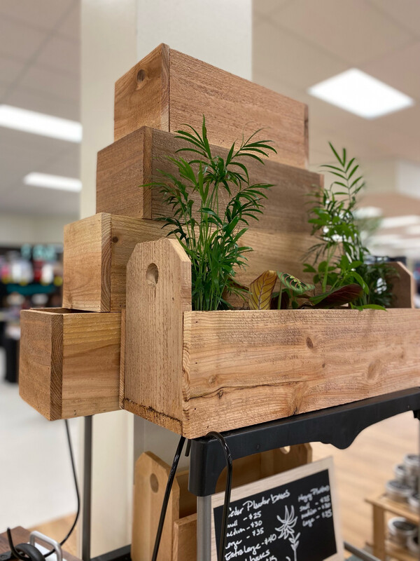 Cedar Plant Boxes - 13 x 6.5 x 6.5