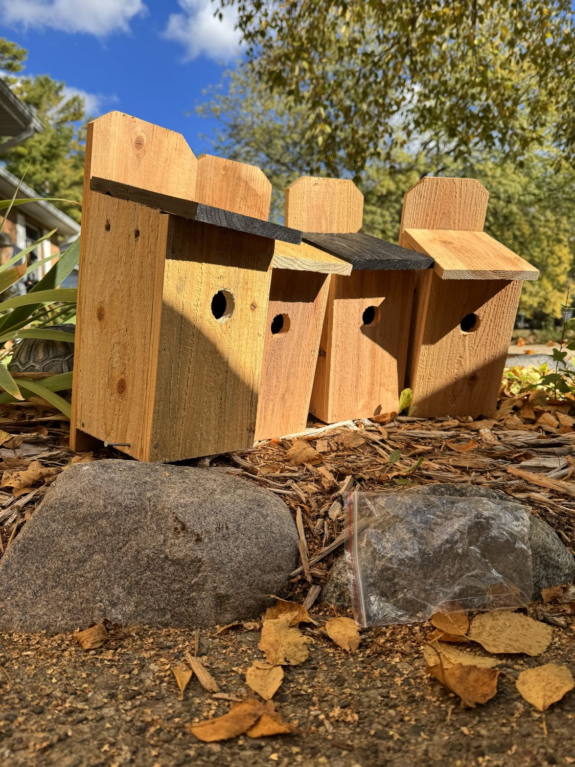 Cedar Birdhouses