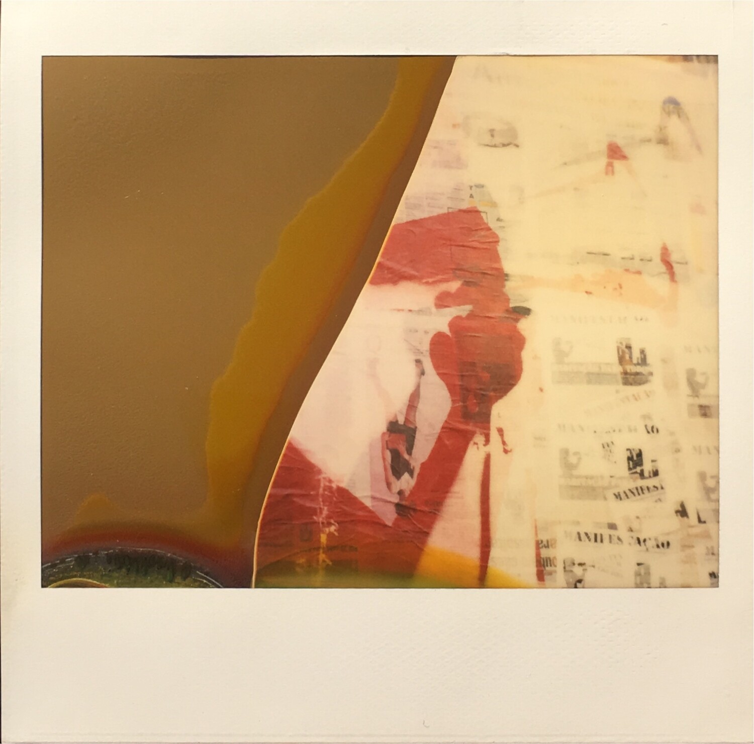 Polaroid