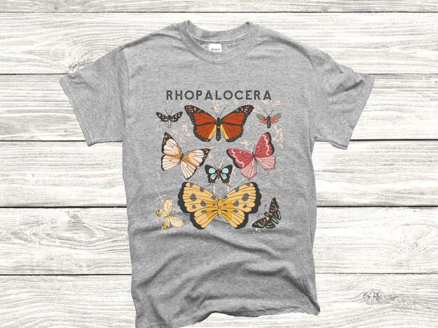 Butterflies (Rhopalocera)