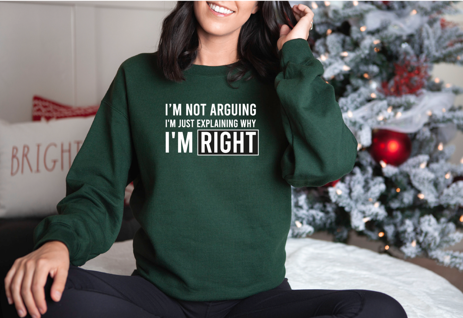 I&#39;m not arguing, I&#39;m just explaining why I&#39;m right Sweatshirt