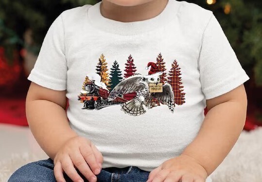 Unisex Christmas Wizard Shirt