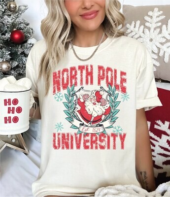 North Pole University Comfort Colors Shirt, Christmas Collage Shirt, Santa Family T-Shirt, Santa University Xmas Tee