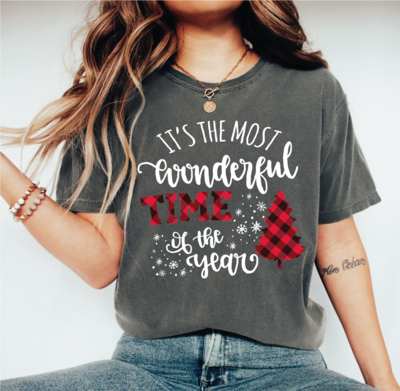 It's The Most Wonderful Time Of The Year Christmas Shirt, Family Christmas  Shirt