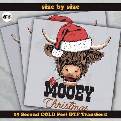 Mooey Christmas