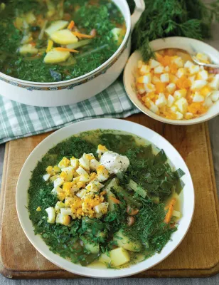 Ukrainian Green borscht