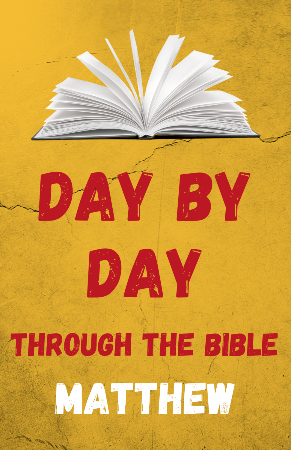 Day by Day Through the Bible: Twenty-Eight Days in Matthew - Digital Download