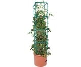 Hydrofarm Heavy Duty Tomato Barrel w/ Tower