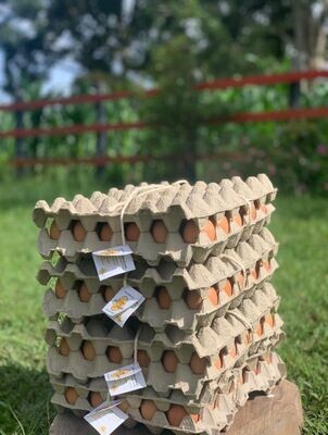 Huevos AAA X 30 Gallina en pastoreo.