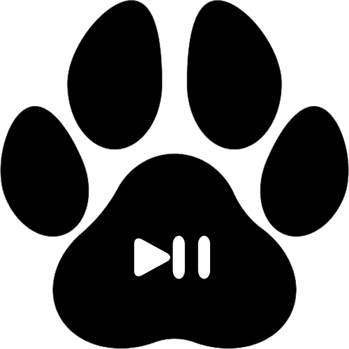 Pause For Pause donation page