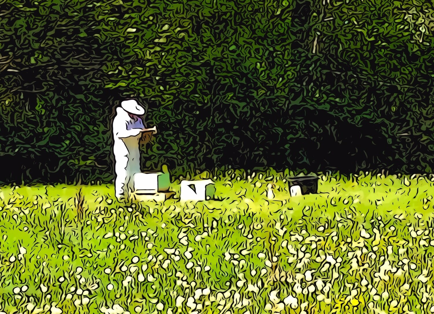 The Beekeeper