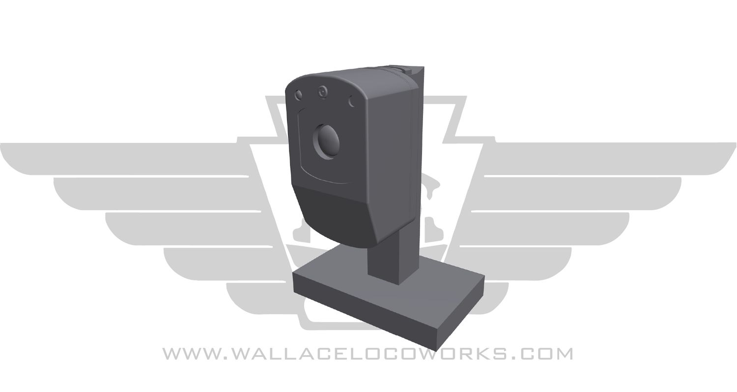 Outward Facing Cameras