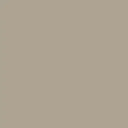 Tru-Color MoPac Eagle Gray