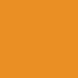 Tru-Color CNW Yellow