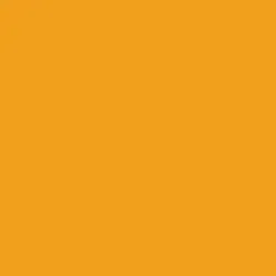 Tru-Color CSX YN2 Yellow 1 oz