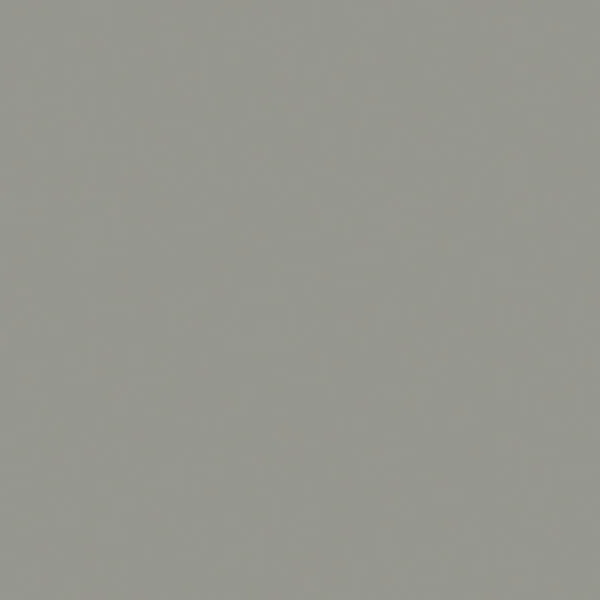 Tru-Color 351 Kansas City Southern – Hopper Gray 1oz