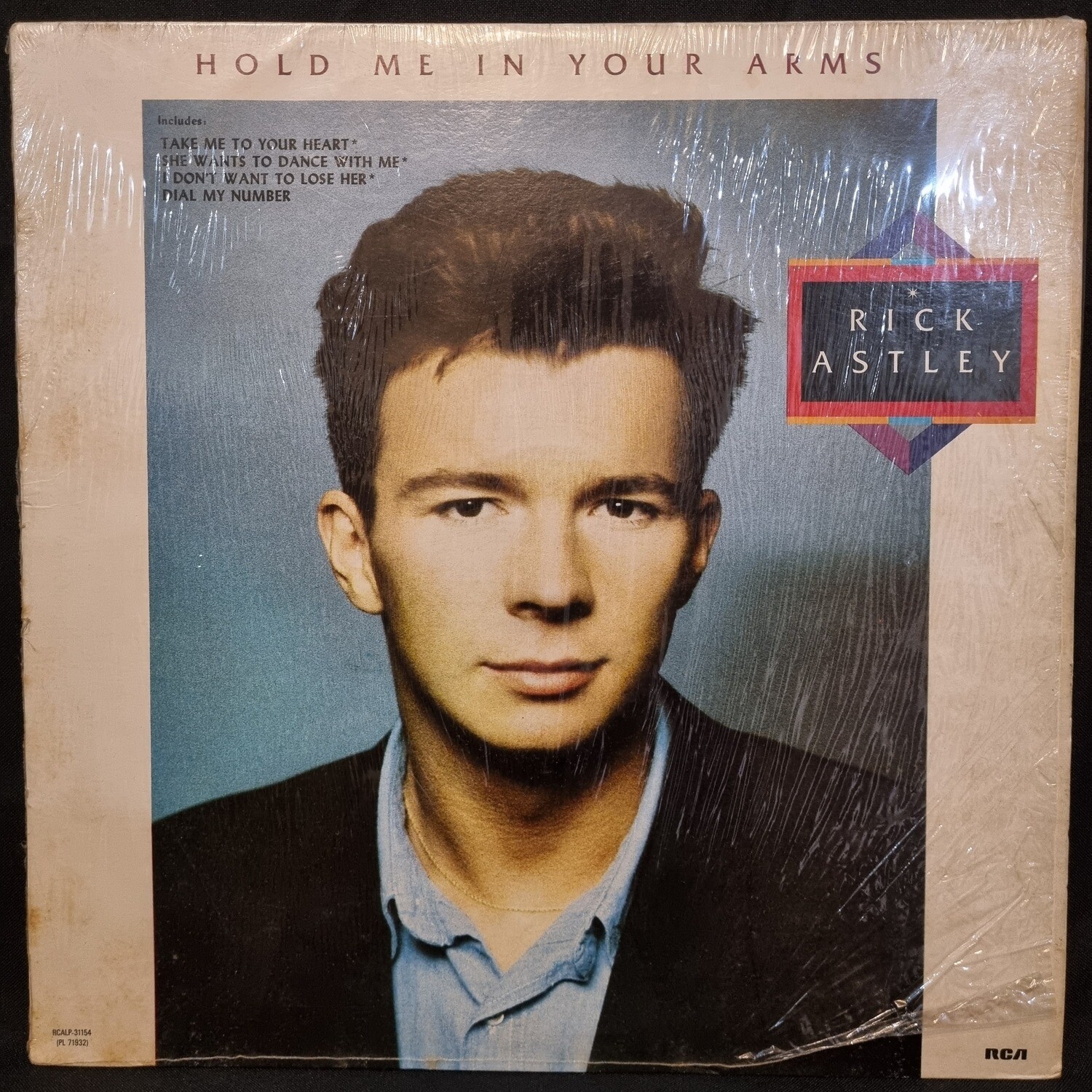 Rick Astley- Hold Me In Your Arms
