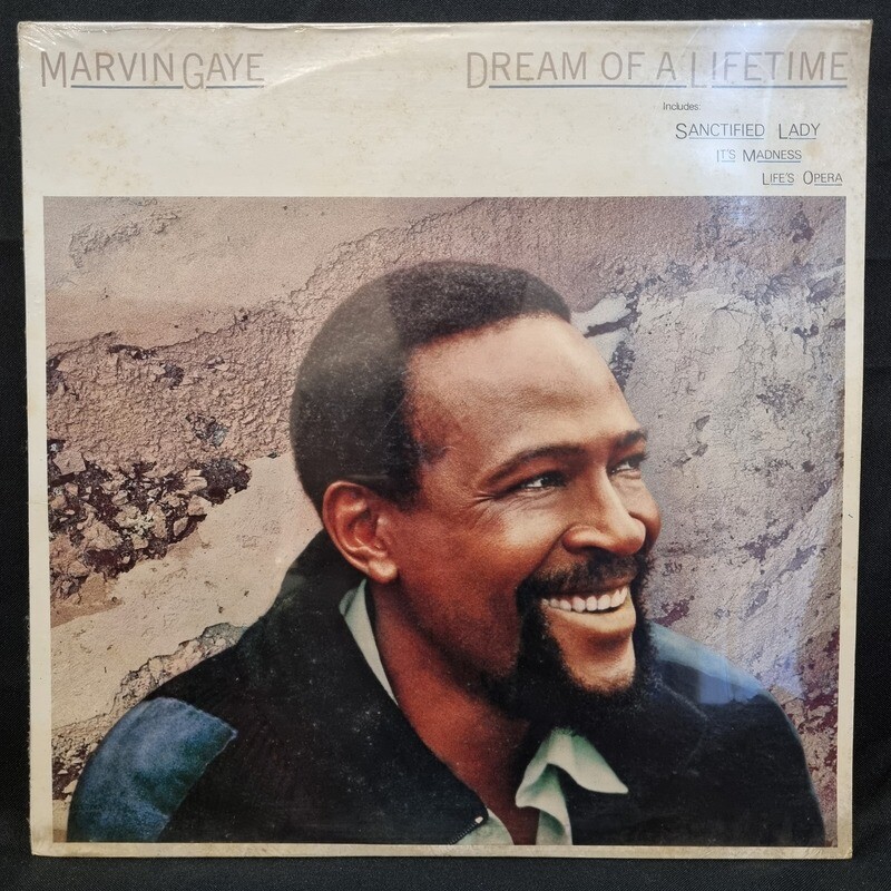 Marvin Gaye Dream of a Lifetime
