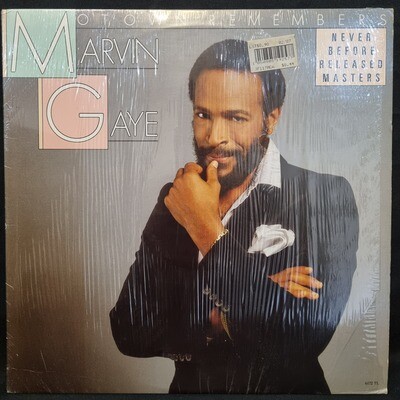 Marvin Gaye- Motown Remembers