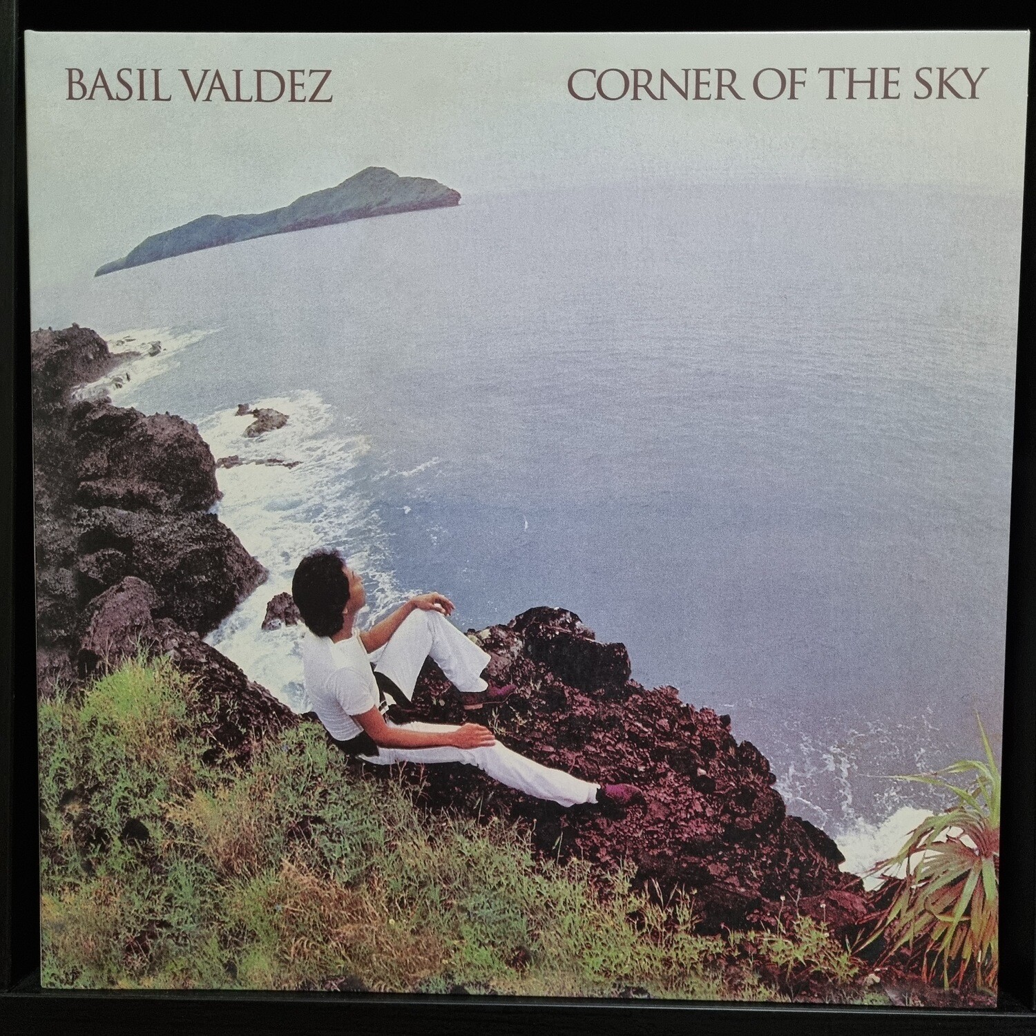 Basil Valdez- Corner of the Sky