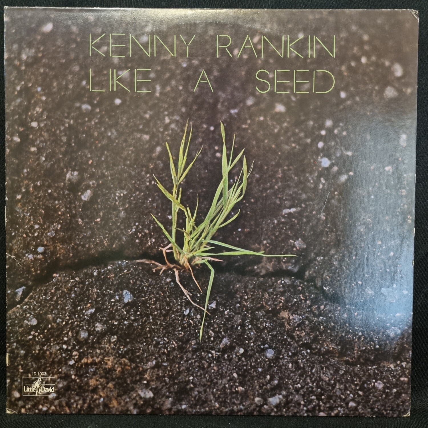 Kenny Rankin- Like A Seed