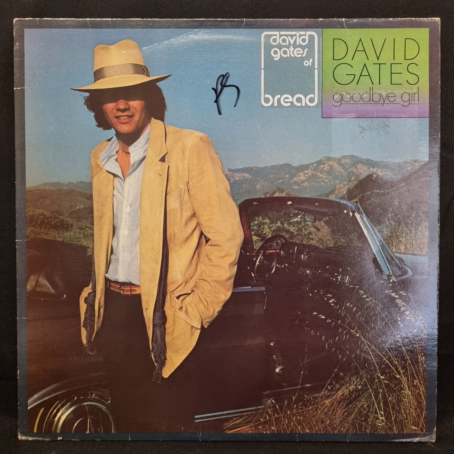 David Gates- Goodbye Girl