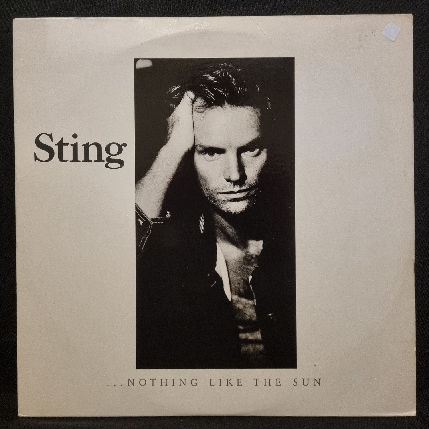 Sting- Nothing Like The Sun