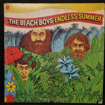 The Beach Boys- Endless Summer