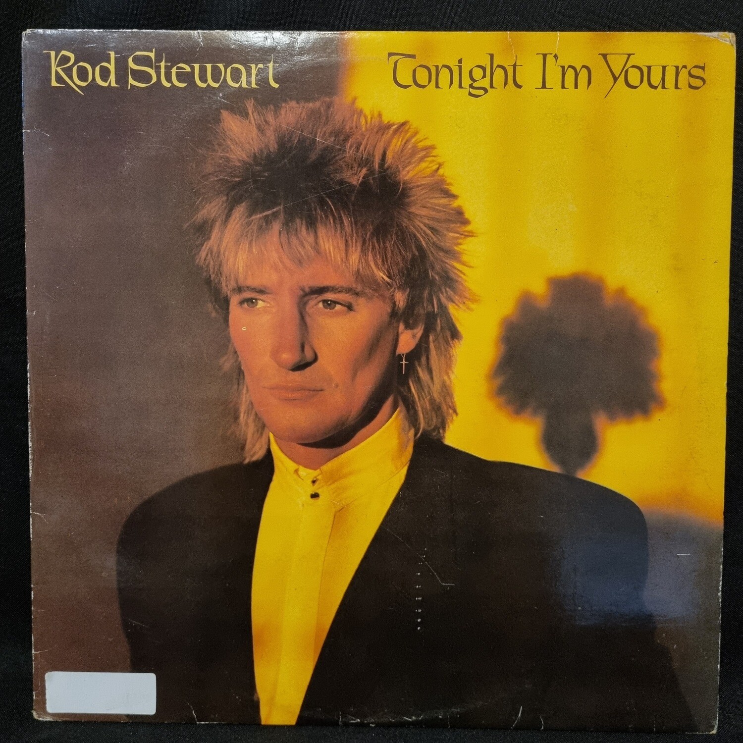 Rod Stewart- Tonight I&#39;m Yours