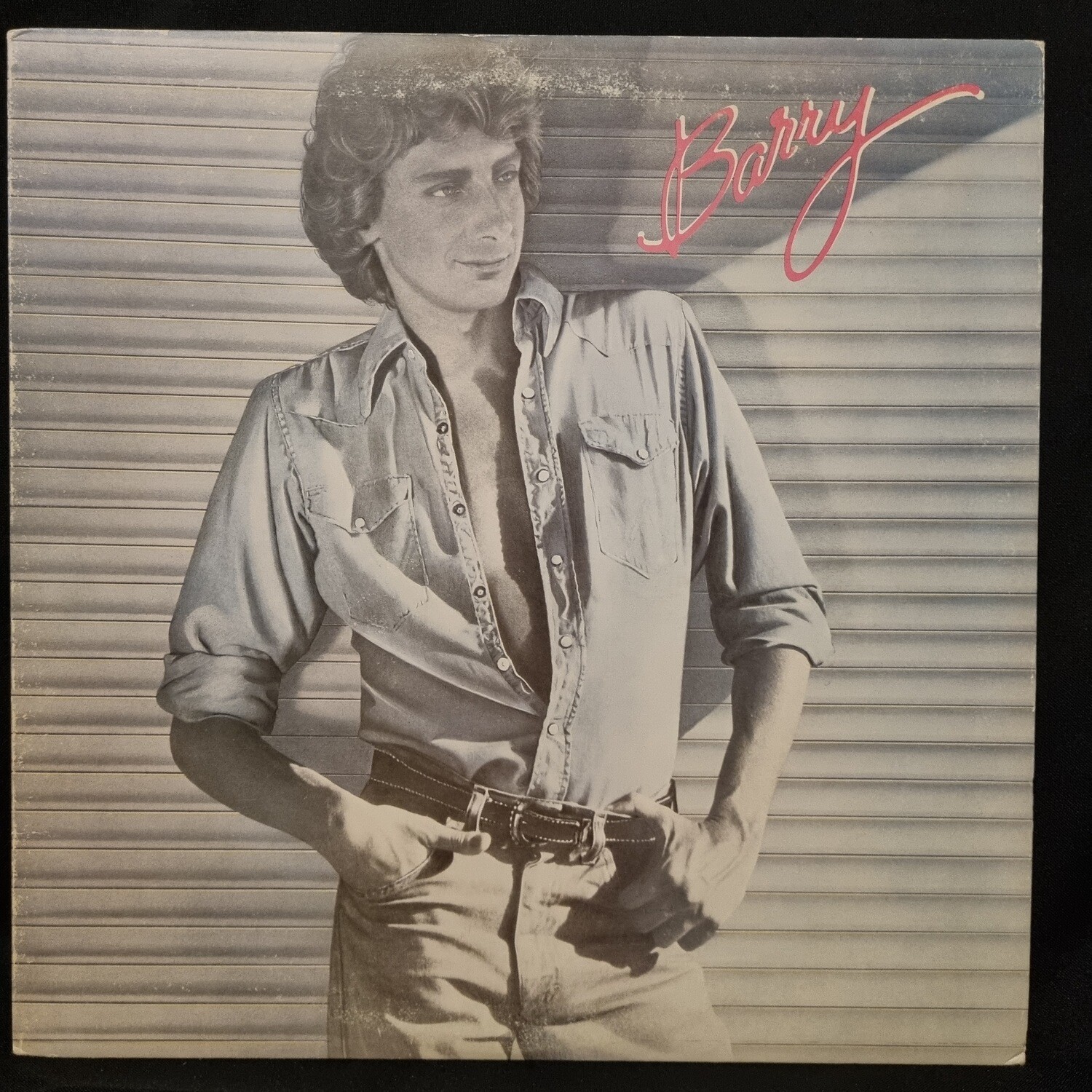 Barry Manilow- Barry