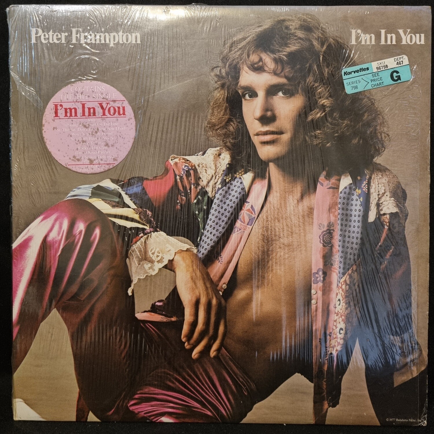 Peter Frampton- I&#39;m In You