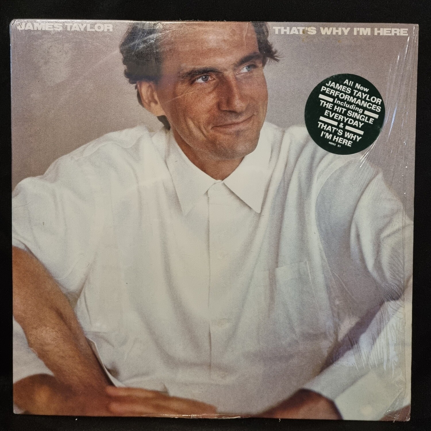 James Taylor- That's Why I'm Here