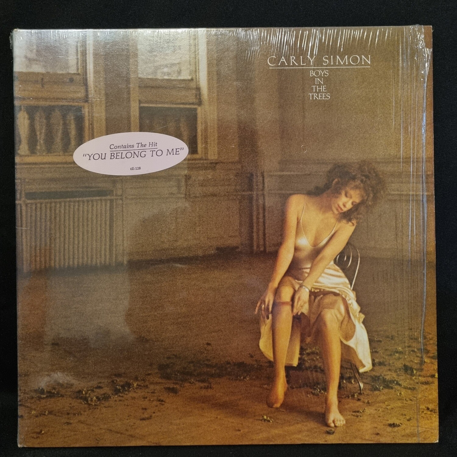 Carly Simon- Boys In The Trees