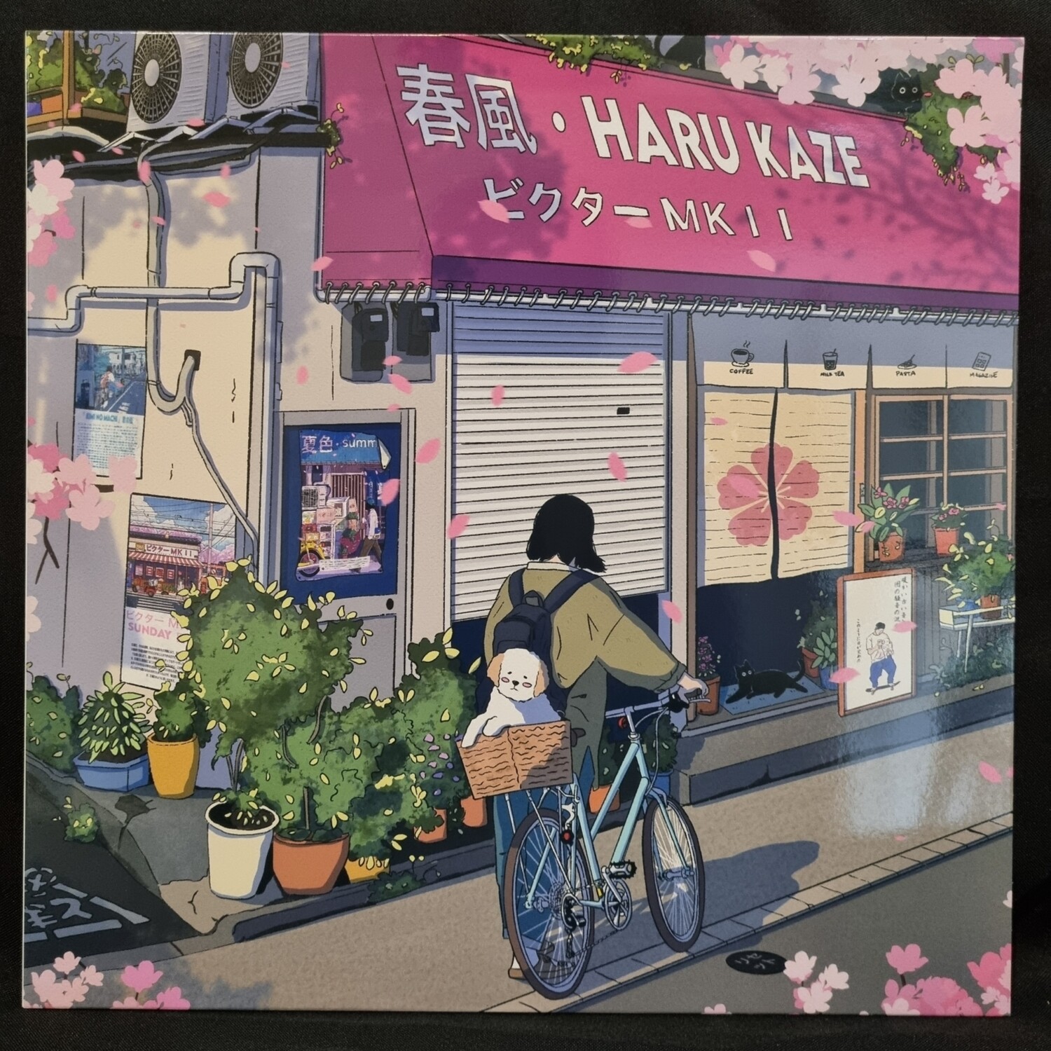 ビクタ - MKII - Haru Kaze