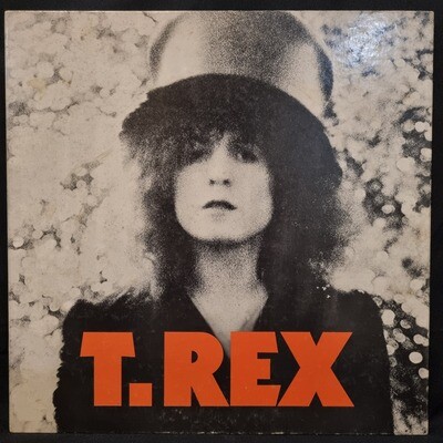 T. Rex- The Slider
