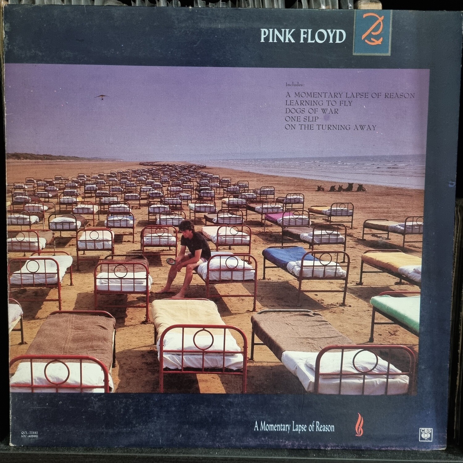 Pink Floyd- A Momentary Lapse of Reason