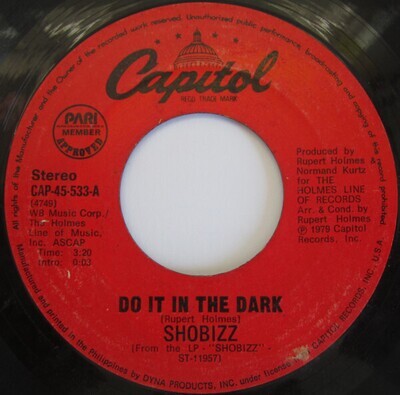 Shobizz- Do It In The Dark / We Are A Music Machine 7"