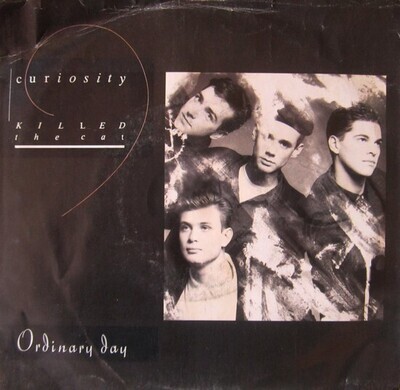 Curiosity Killed The Cat-  Ordinary Day 7&quot;