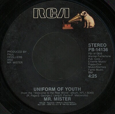 Mr. Mister- Broken Wings / Uniform of Youth 7"