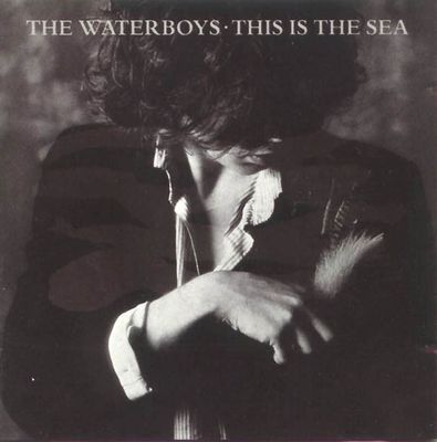 The Waterboys- This Is The Sea