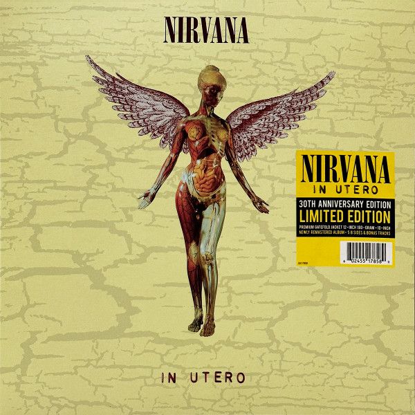 Nirvana- In Utero (30th anniversary)