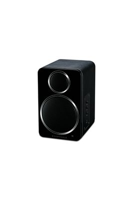 Wharfedale DS-2