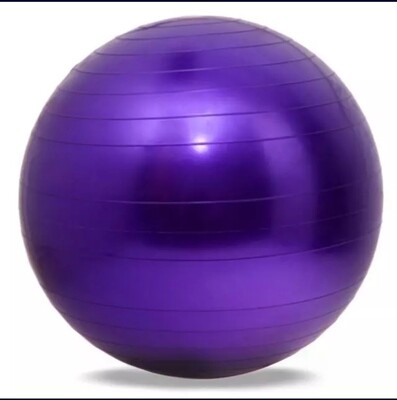 Gym yoga fitness ball