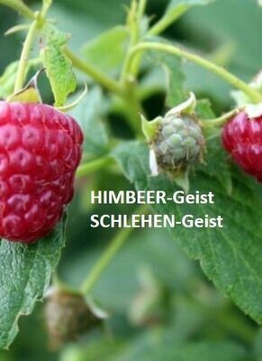 Geiste