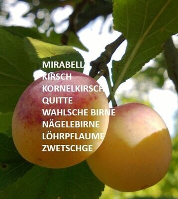 Obstbrände