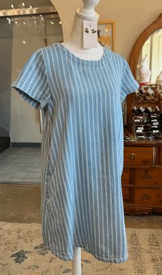 Stripe Chambray Mini